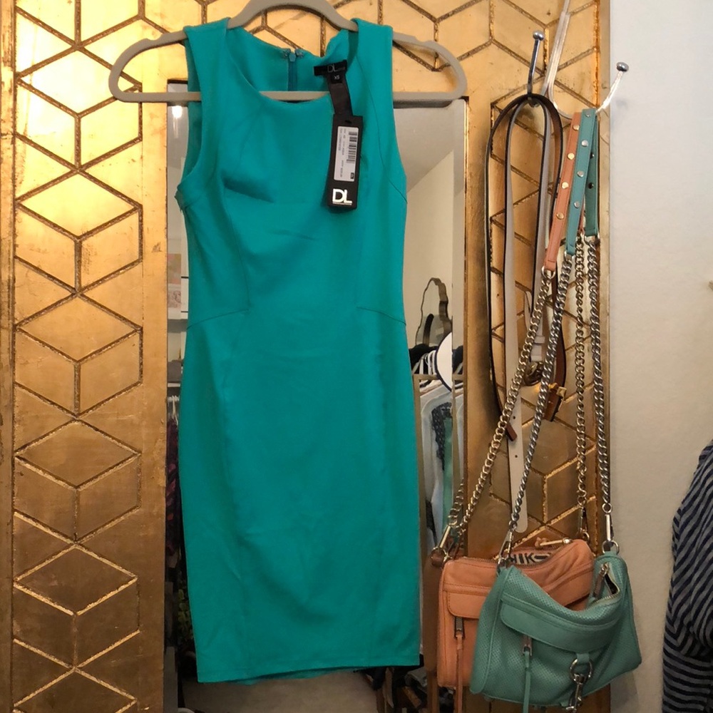 NEW DAVID LERNER dress